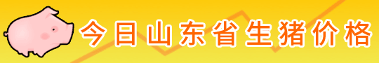 对照阅读是山东省饲料工业协会第四届理