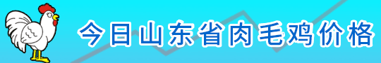 现有员工500余人