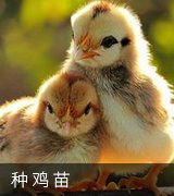 原料贸易