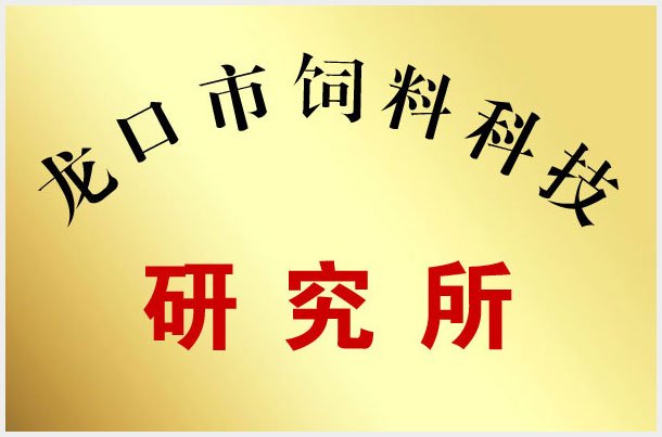 世界杯网页版世界杯官方在线登录限时优