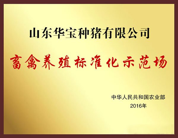 主页 > 关于天源 > 资质荣誉 >