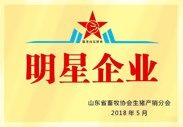 2025年