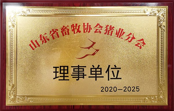 世界杯网页版世界杯官方在线登录限时优