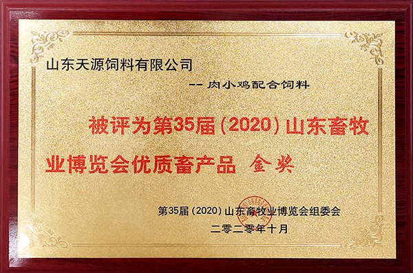 2025年