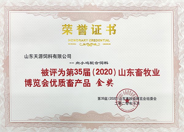 2026年