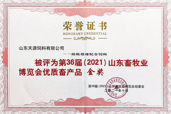 2026年