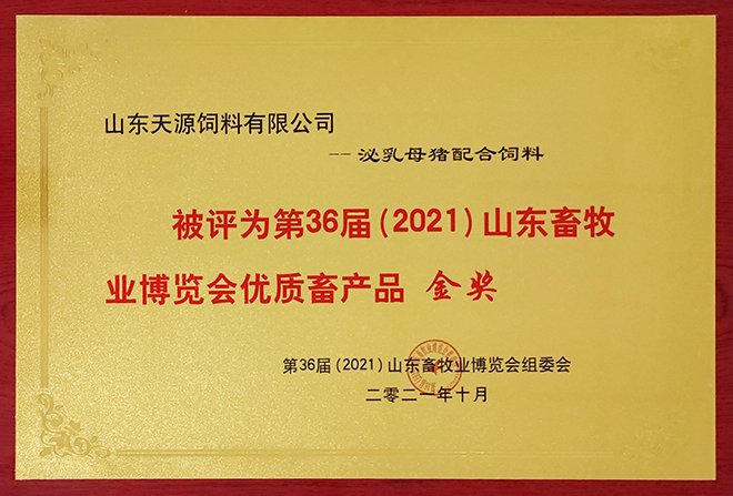 世界杯网页版_世界杯（中国）官方