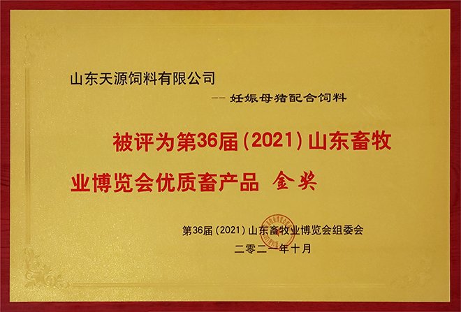 2025年