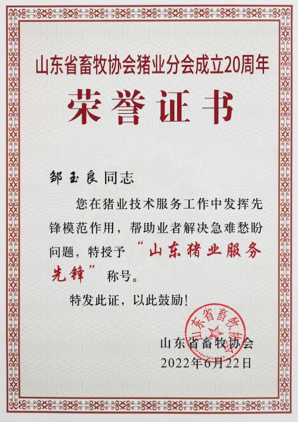 世界杯网页版世界杯官方在线登录限时优惠
