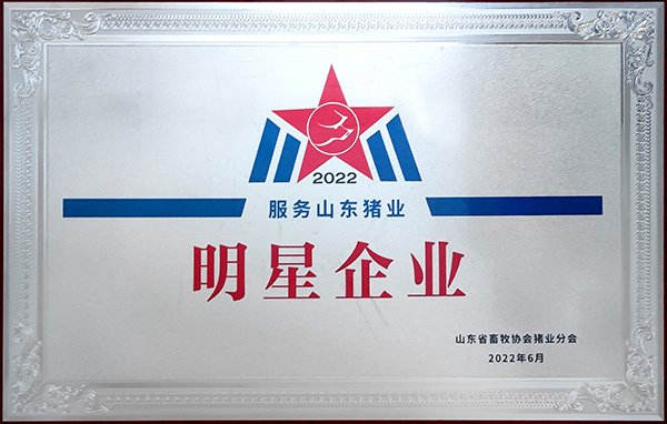 世界杯网页版世界杯官方在线登录限时优
