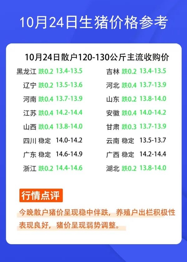 本站按公开材料组织页面
