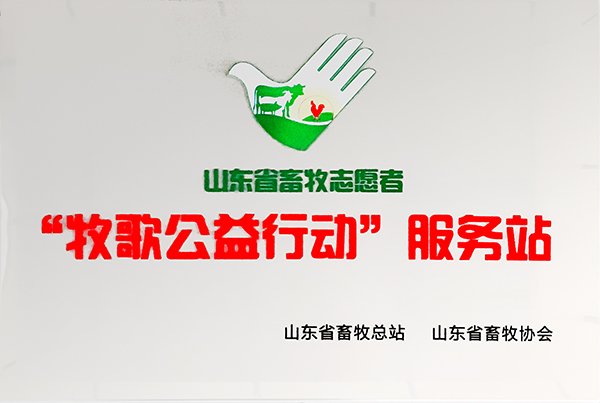 2026年