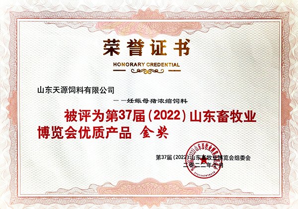 世界杯网页版世界杯官方在线登录限时优
