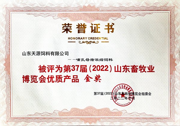 2025年