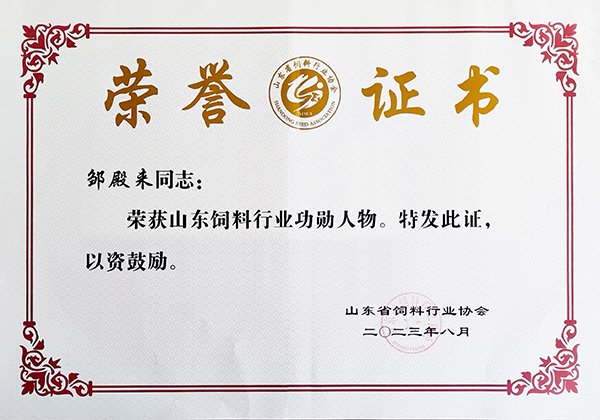 世界杯网页版世界杯官方在线登录限时优惠