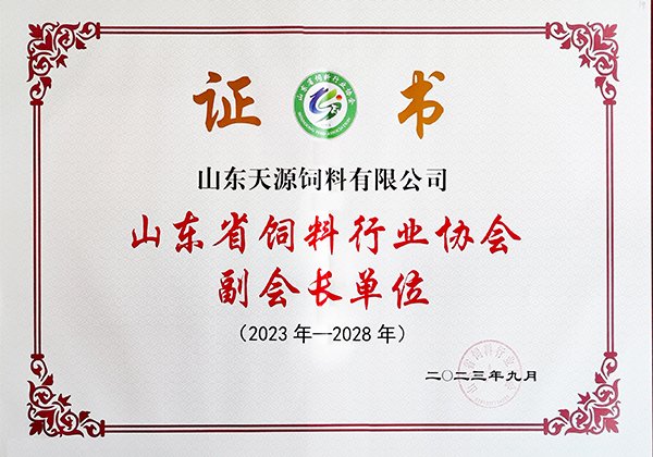 2025年