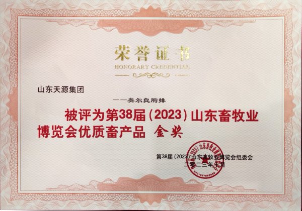 2026年