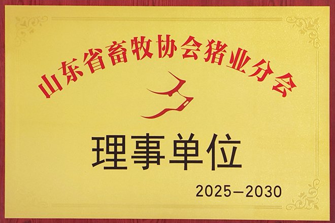 世界杯网页版世界杯官方在线登录限时优