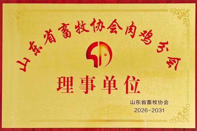 世界杯网页版世界杯官方在线登录限时优惠