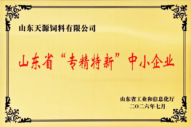 2025年